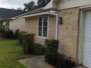 Bush Trimming by Xavier Cruz for Philip c. in Katy, TX
