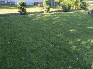 Michael G.'s Lawn Care service result