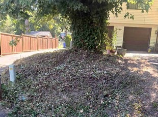 Cleanups by Brandon Hill for Rose S. in Portland, OR