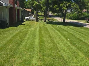 Channing C.'s Lawn Mowing service result