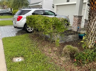 Bush Trimming by Joseph Pereira for Lena F. in Kissimmee, FL
