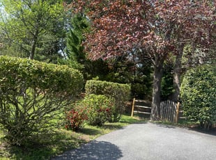 Bush Trimming by JosuΓ© and Eduardo Tena for Greg S. in Columbia, MD