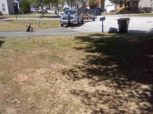 Leaf Removal by Leonard Sicilian for Andre M. in Loganville, GA