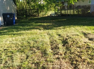 Leaf Removal by Maurice Godin for Nicole B. in Cumberland, RI
