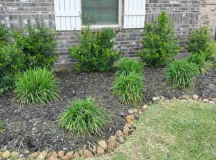 Weeding by Daiby Alvarez for Nadia K. in Roman Forest, TX