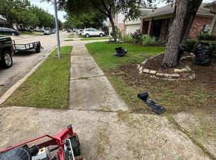Zachary S.'s Leaf Removal service result