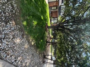 Weeding by Jesse Nunez for Mitchell J. in Aurora, CO