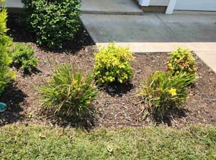Mark O.'s Flower Bed Weeding service result