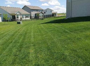 Deborah M.'s Lawn Maintenance service result