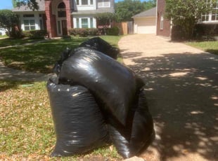 Leaf Removal by Thomas Ruiz for Mike I. in Sugar Land, TX