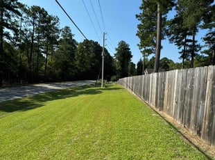 Troy-Dale E.'s Yard Cutting service result