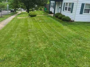 Denise R.'s Grass Cutting service result