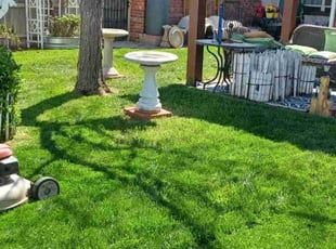 Shaun H.'s Lawn Care service result