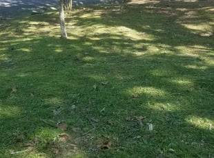 Cleanups by Chris Chance for Wanda m. in Birmingham, AL