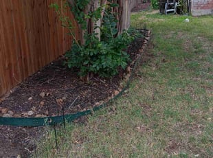 Leaf Removal by Robert Ramirez for Cheryl F. in San Antonio, TX