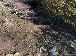 Weeding by Justin Norris for Teresa P. in Hampton, VA