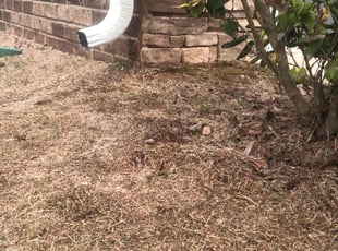 Weeding by Neil Marsh for Jean Bosco N. in Waxhaw, NC