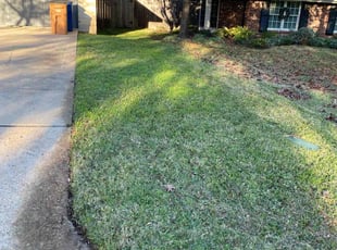 Leaf Removal by Joshua Benouis for Jeremy M. in Austin, TX