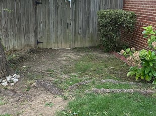 Bush Trimming by Norman Blanchard for Clint W. in Washington, DC
