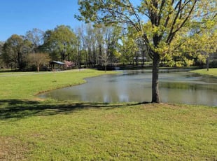 Leaf Removal by Kathia Aguilar for Eric P. in Alabaster, AL