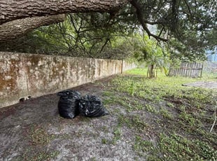 Leaf Removal by Yeny Zaragoza Garcia for Tony P. in Riverview, FL