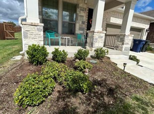 Weeding by Osmin Salvador for Jennifer W. in Garland, TX