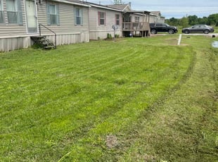 Callie B.'s Lawn Mowing service result