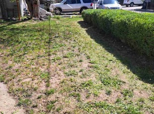 Bush Trimming by Michael Dickens for Joe Y. in Boise, ID