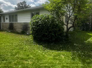Bush Trimming by Ronald Coleman for Stephen s. in Columbus, OH