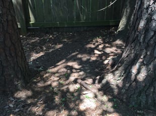 Leaf Removal by Joseph Hopkins for Benjamin B. in Houston, TX