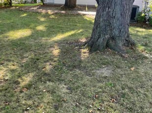 Cleanups by Alex Sanner for Heather E. in Columbus, OH