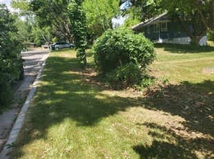 Bush Trimming by Eric Hahn for Mathias W. in Brooklyn Park, MN
