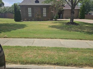 Melissa D.'s Lawn Care service result