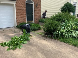 Weeding by Danis Benitez for Caren L. in Centreville, VA