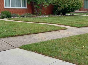 Terrance N.'s Lawn Care service result