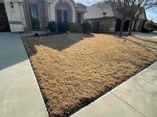 Leaf Removal by Severa Rosie Lara for Michael K. in Mansfield, TX