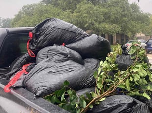 Leaf Removal by Fredrick Miller for Phillip J. in San Antonio, TX