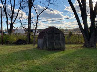 Leaf Removal by George Rosales for Alexander K. in Lake Zurich, IL