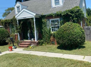 Matthew S.'s Bush Trimming service result