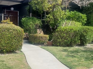 Bush Trimming by Bernardo Arroyo for Alexis B. in Los Alamitos, CA