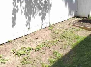 Cleanups by Chris Stewart for Sharia F. in Washington, DC