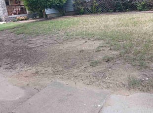 Bush Trimming by Gralin Johnson for Elissa G. in Fort Worth, TX