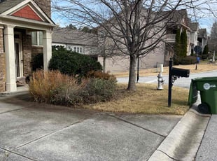 Leaf Removal by Cyntmara Home and Lawns for Terrance W. in Atlanta, GA