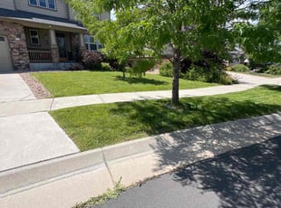 Marlow M.'s Lawn Service service result