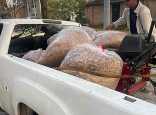 Leaf Removal by Rene Contreras for Peter B. in Houston, TX
