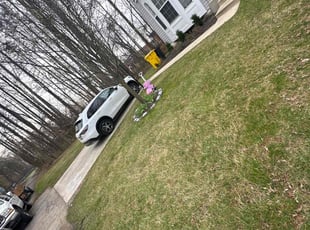 Leaf Removal by Wilmer Sosa for Aaliyah C. in Odenton, MD