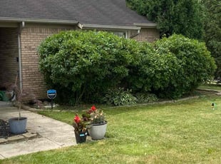 Bush Trimming by William Bluitt for Dalton M. in Indianapolis, IN
