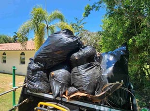 Leaf Removal by Jenny White for Maria . in Palmetto Bay, FL