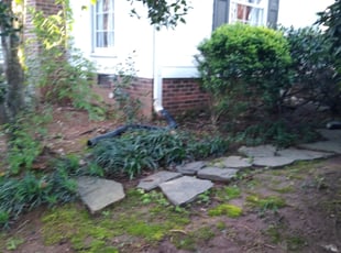 Cleanups by Carlos Carrera for Laura P. in Charlotte, NC