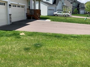 Leaf Removal by Jayde Grant for Lorpu H. in Ramsey, MN